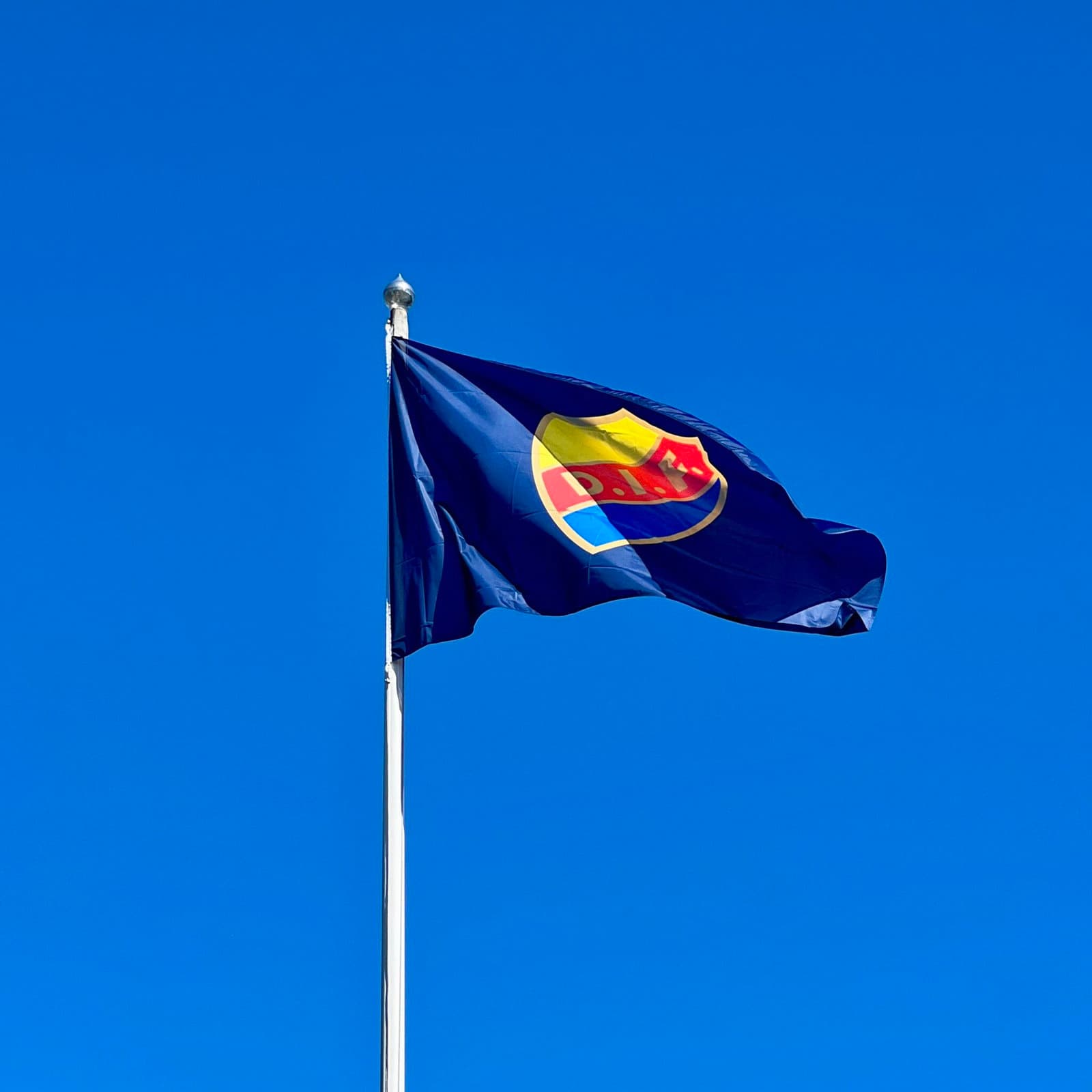FLAGGSTÅNGSFLAGGA FLAGGSTÅNGSFLAGGA 300X180 CM SKÖLD - undefined 2 - DJURGÅRDSBUTIKEN