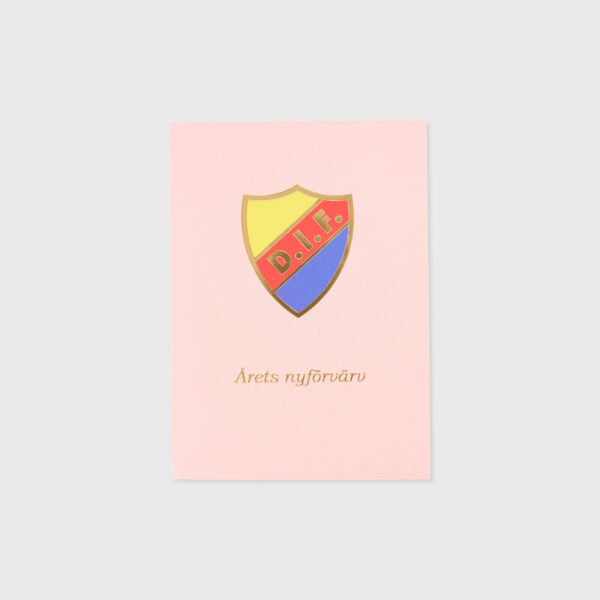 GRATTISKORT NYFÖDD ROSA 13x10 CM