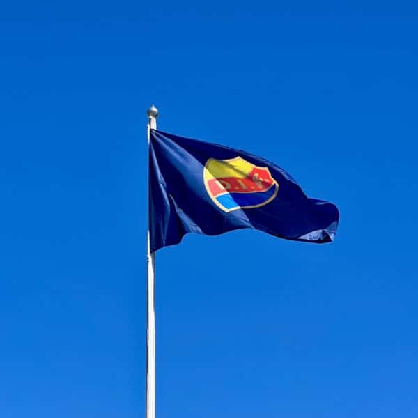 FLAGGSTÅNGSFLAGGA 240X150 CM SKÖLD