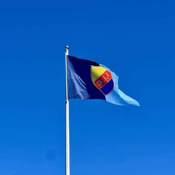 FLAGGSTÅNGSFLAGGA 240X150 CM LJUSBLÅ/BLÅ SKÖLD